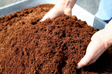Solucan Mamas Seperatr Gbresi %100 Organik